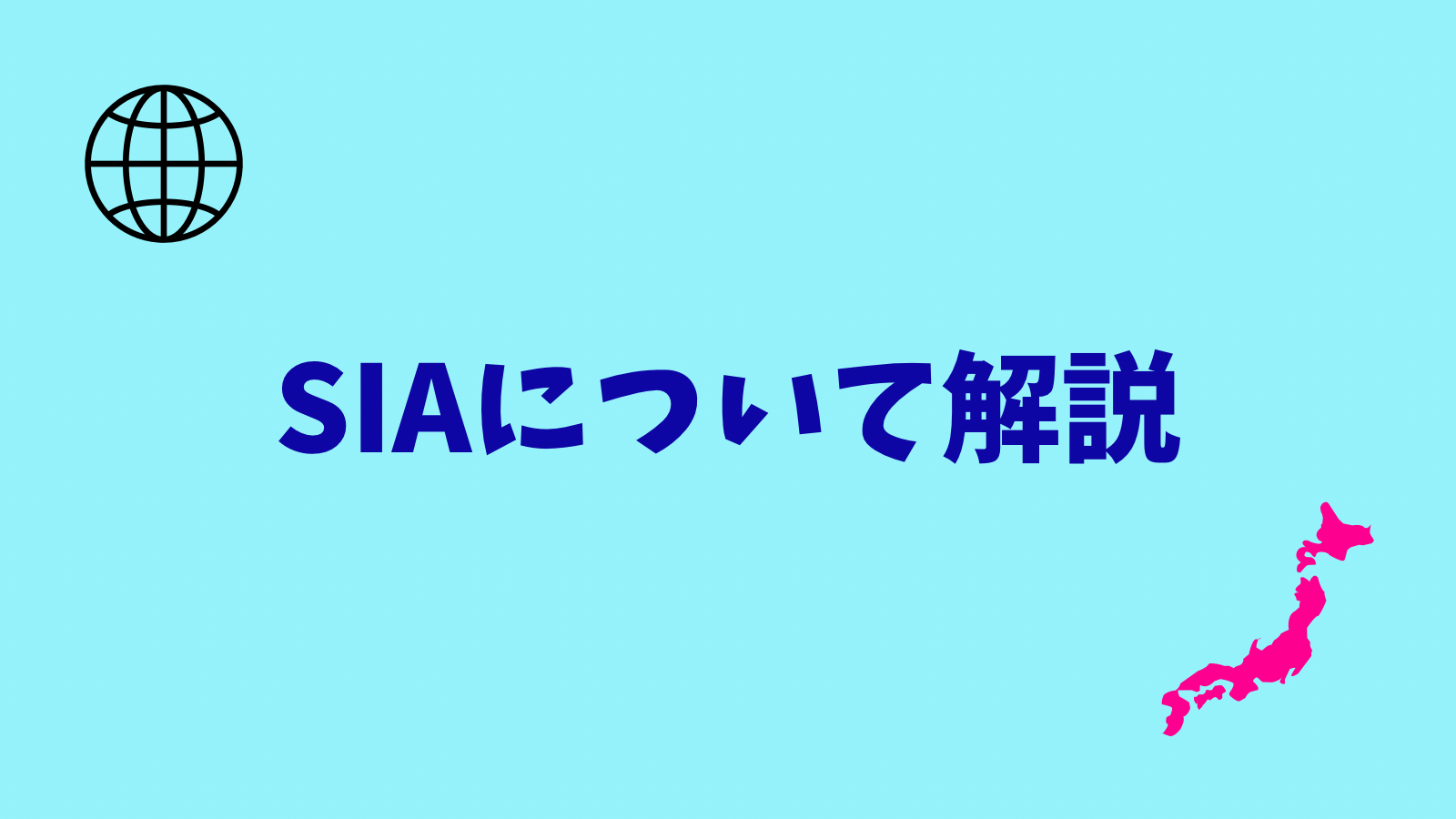 SIA 日本プロスキー教師協会 ミドラー上下 ミズノ製
